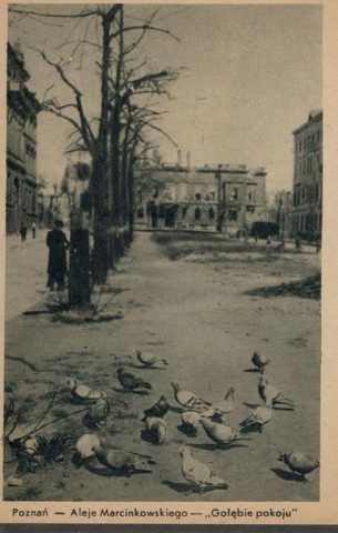 Poznań 1945  na fotografiach  Zbigniewa Zielonackiego – pocztówka 51 z 67